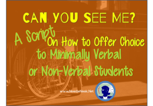 CanYouSeeMe- How To Offer Choice to Minimally Verbal Students