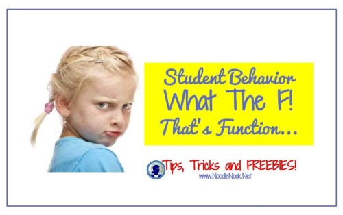 Function of Behavior- Learn more about changing bad behavior in the classroom from NoodleNook.Net- Totally Helpful Stuff