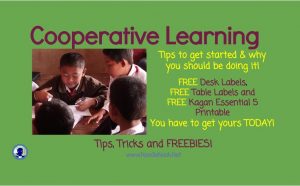 Cooperative Learning for LIFE Skills via NoodleNook