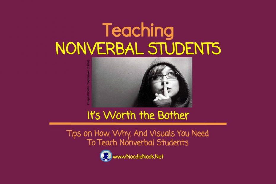 Teaching Nonverbal Students- Why YOU should bother.