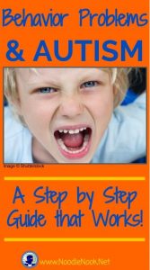 Addressing Behavior Problems for Students with Autism- A Step by Step Guide that Works from NoodleNook.Net