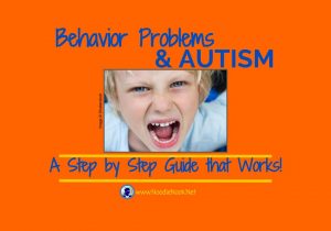 Addressing Behavior Problems for Students with Autism- A Step by Step Guide that Works from NoodleNook.Net