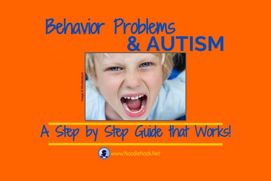 Addressing Behavior Problems for Students with Autism- A Step by Step Guide that Works from NoodleNook.Net