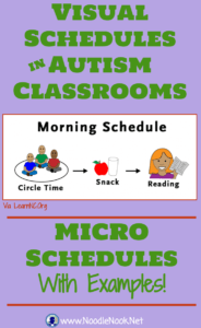 Visual Schedules for Autism Classroom- A Micro Schedule