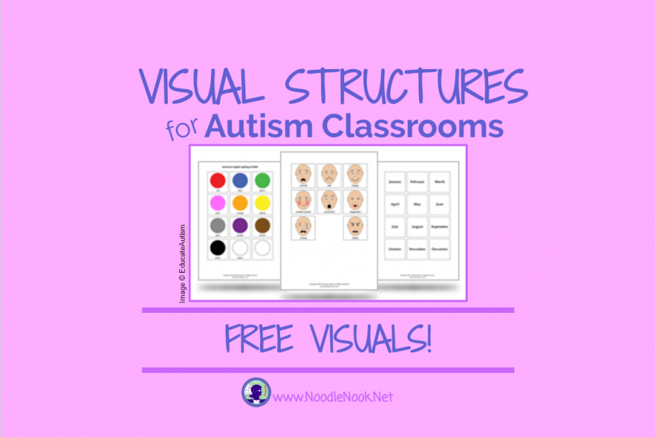 All about Visual Structures for Autism Classrooms with FREE Visuals!