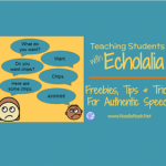 Teaching Students with Echolalia- Practical tips for getting authentic speech.