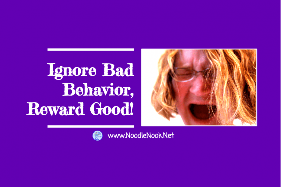 Not sure how to ignore bad behavior, reward good behavior, and teach replacement behavior… well, read on!