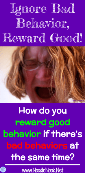 Not sure how to ignore bad behavior, reward good behavior, and teach replacement behavior… well, read on!