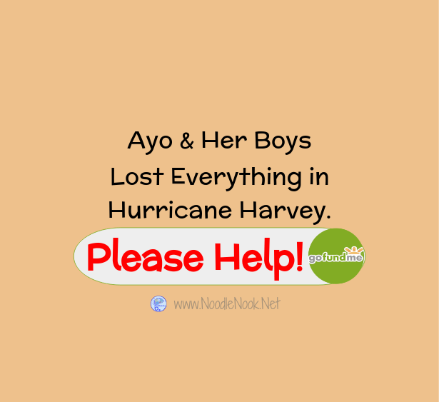 Ayo and her Boys-Hurricane Harvey Help