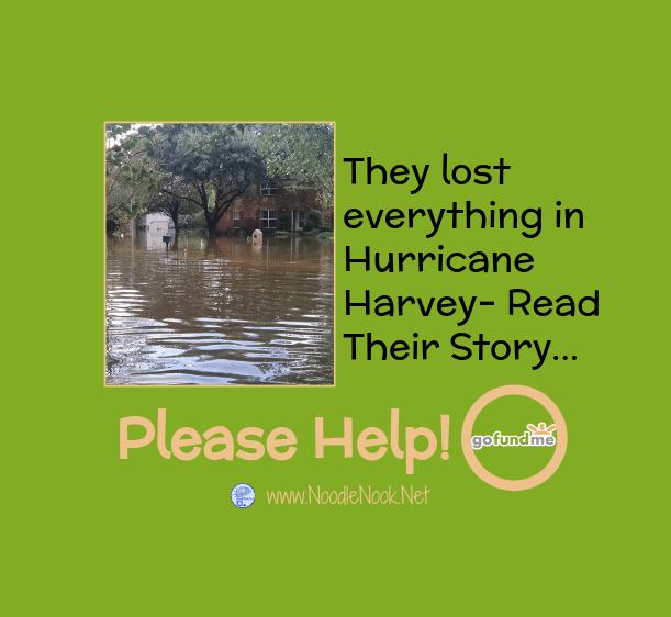 Ayo and her Boys- Hurricane Harvey-Help