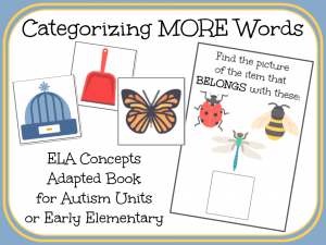 Categorizing MORE Words- An Adapted Book