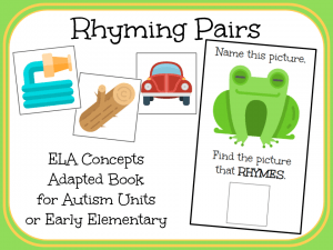 Rhyming Pairs- An Adapted Book