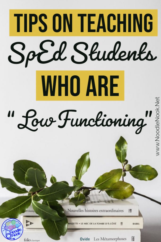 Image with phrase "Tips on Teaching SpEd Students who are Low Functioning""