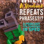 How to Support a Student who uses Repeated Phrases in SpEd