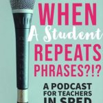 How to Support a Student who uses Repeated Phrases in SpEd