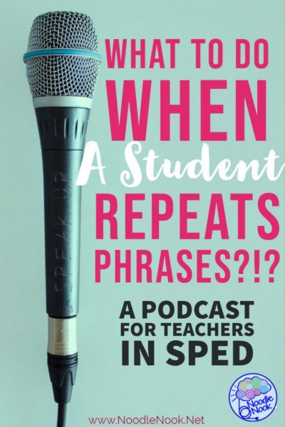 How to Support a Student who uses Repeated Phrases in SpEd