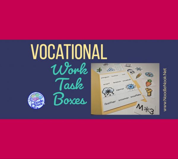 Life Skill Task Boxes Special Education 