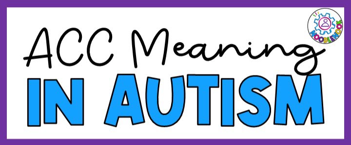 AAC Meaning Autism Classroom Tips via Noodle Nook