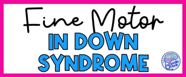 fine motor skills in children with Down syndrome.