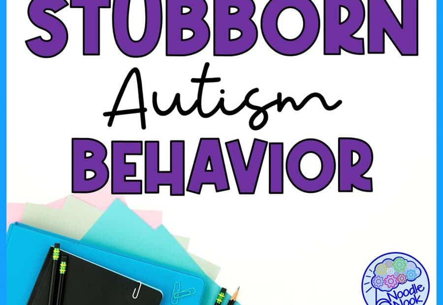 Stubborn Behavior in the Classroom and What to Do About It