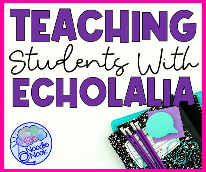 Teaching Students with Echolalia - tips and strategies in the classroom and at home.