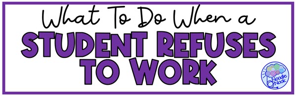 What to do when a Student with autism Refuses to Work. 12 Best Strategies depending on the reason why.